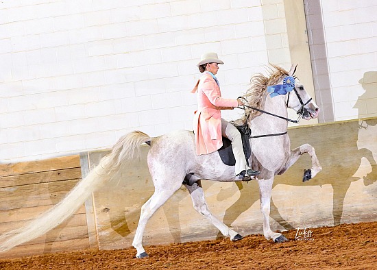 Harriman, TN Youth Show