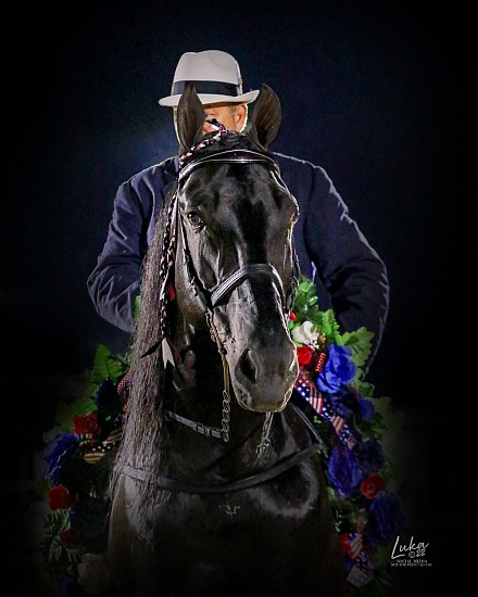 14th Annual Cumberland Co. Open Walking Horse Show