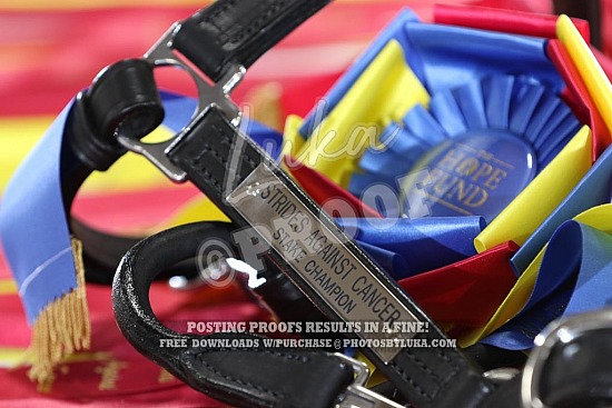 Strides Against Cancer