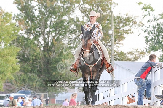 Kentucky Celebration