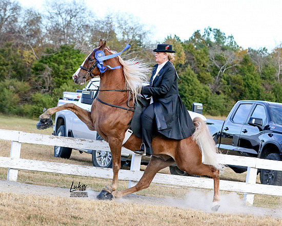 Walking For The Angels